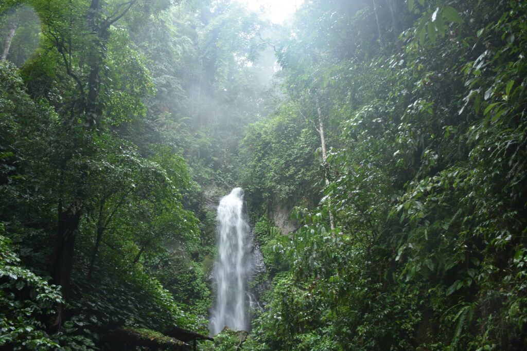 A waterfall found in the jungle of South Sumatra.